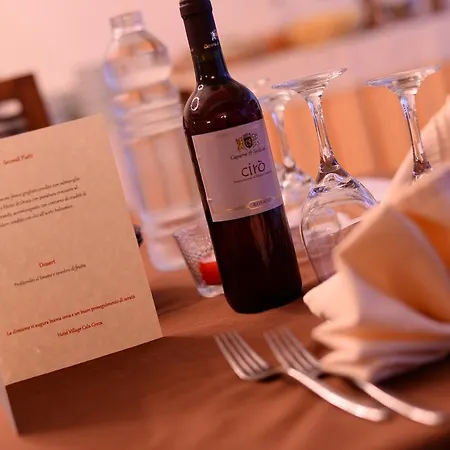 Hotel Baia Dei Gigli - Club 4*